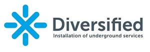 Diversified Services Australia Pty Ltd – Website Profile
